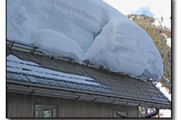 snow roof guards ice roofs