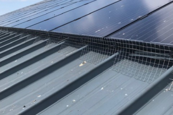 Bird Mesh Installed to Protect Underside of Solar PV Panels