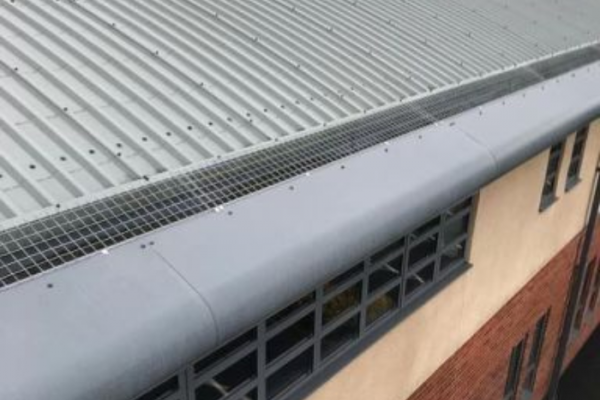 Stainless Steel Bird Mesh Installed to Seal Off Gutter